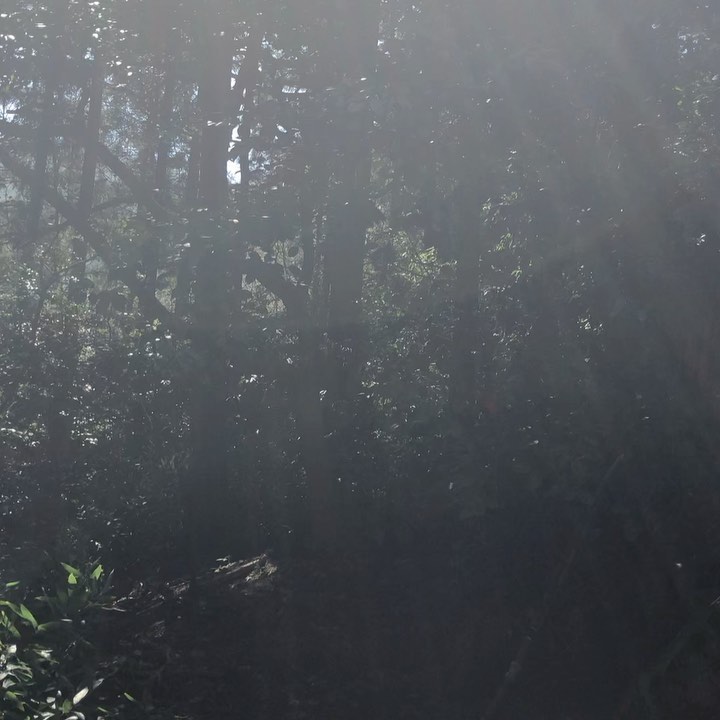 愛媛県西条市の石鎚神社⛩へ。