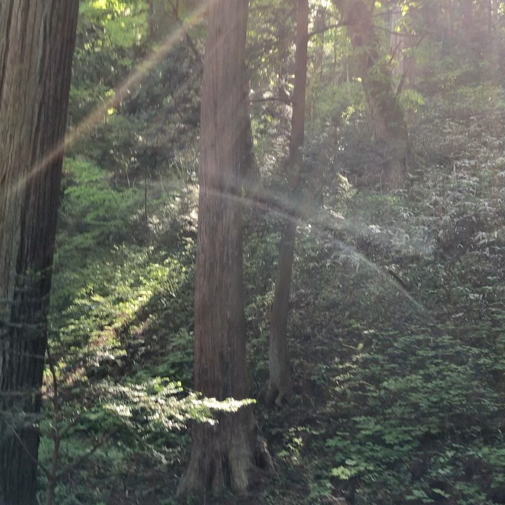 昨日から、岐阜県高山市の水無神社。